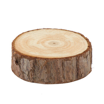 模型仿真植物假树仿真野生动物套装配件恐龙场景造景儿童玩具 圆木桩