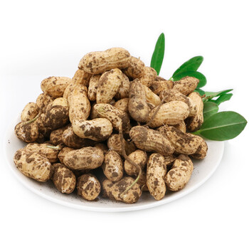 有机汇 有机鲜花生 带壳新鲜花生 花生 500g