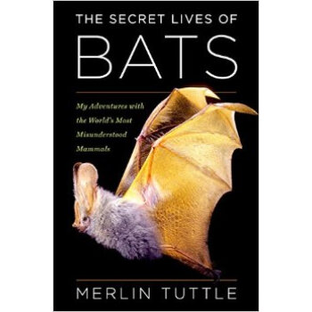 The Secret Lives of Bats  My Adventures with the