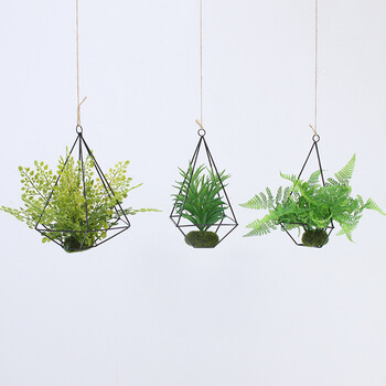 吊挂植物屋内装饰墙面挂件宿舍装饰悬挂绿植物小盆栽垂吊吧台吊饰 3款