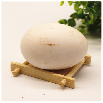 预售 狄鲜大雁蛋3只装 鸿雁灰雁蛋每年3月-5月为产蛋期每年一季产蛋只