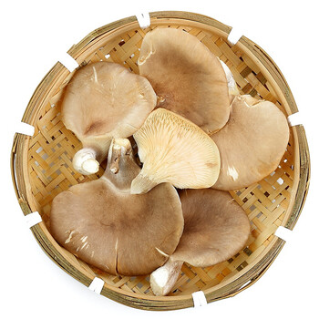 东源兴 鲍鱼菇 约200g 新鲜蔬菜