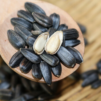 奶油味黑珍珠瓜子毛嗑油葵花子小瓜子农家葵花香瓜籽新疆特产25袋 黑