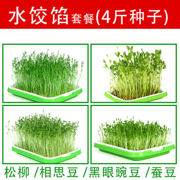 美外芽苗菜种子豆芽菜家庭无土栽培菜园阳台种菜豌豆小麦草苗纸上种菜馅料套装 4斤种子 图片价格品牌报价 京东