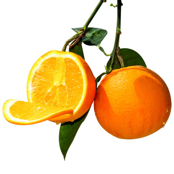 犁楚(Lichu) 秭归脐橙 一年四季新鲜橙子 时令水