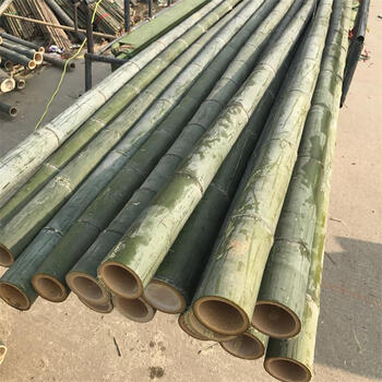 美外 粗竹竿 粗竹筒 长竹筒 毛竹竹子直径3--15厘米各种规格 直径10