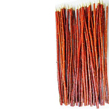 新疆红柳签子红柳枝烤肉签子 羊肉串钎野生烧烤神器户外红柳木 50厘米