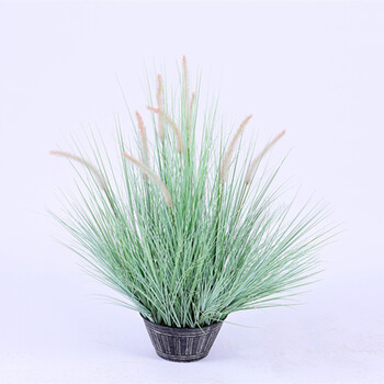 依依ins北欧仿真芦苇盆栽橱窗装饰摆件陈列家居客厅落地摆放绿植 75cm