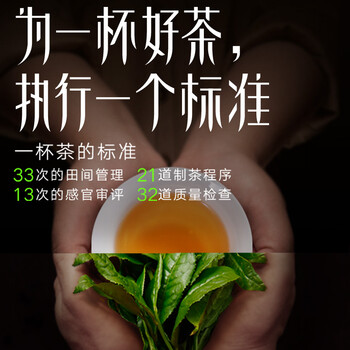 武夷星武夷山特级大红袍茶叶武夷山正岩乌龙茶单泡试饮翰墨香大红袍7