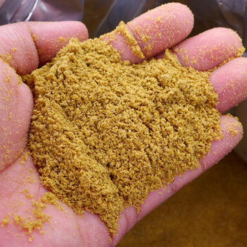 迪恩 小黄面 鲤鱼饵钓饵爆护散炮手窝一体黑坑黄砂饵 小黄面200g