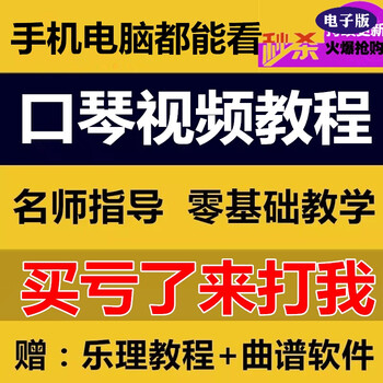 零基础学萨克斯24孔半音阶口琴二胡古筝非洲