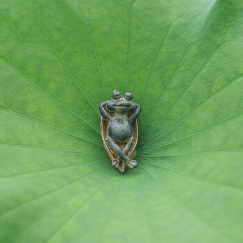匠心坊 小礼品家居小摆件青蛙迷你小动物摆设工艺品 0037躺在船上的小