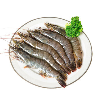 正大(cp) 活冻白虾/女王虾 泰国原装进口 中号40/50 1.