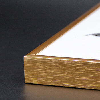 北欧像框约海报广告写真摆台挂墙金属画框a4铝合金相框 玫瑰金 a1(59.