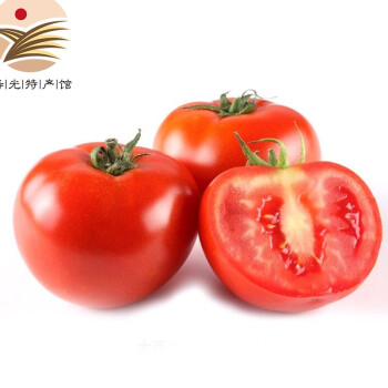 蔬香客 圣女果 当日采摘快递直达番茄迷彩新鲜水果西红柿 大红番茄2500g