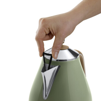 
                                        
                                                                                德龙（Delonghi）电热水壶 复古系列烧水壶热水瓶 家用办公室 304不锈钢 1.7L大容量 KBO2001.GR 橄榄绿                