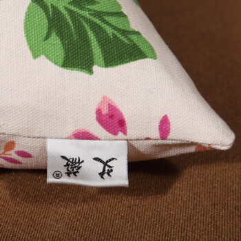 艾薇 家纺床品 粗布靠枕靠背腰垫办公抱枕套装+芯（春色满园2个）
