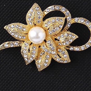 2017饰品春秋新款钉珠胸针百搭时尚新颖阿玛施女装专柜正品胸花 a002