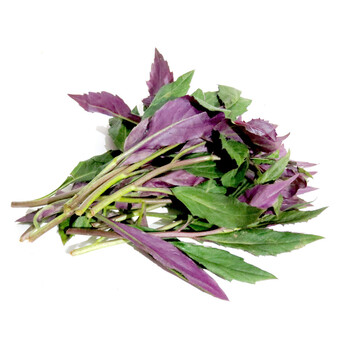 老一生鲜 新鲜蔬菜 红军菜 观音菜 紫背天葵菜 500g