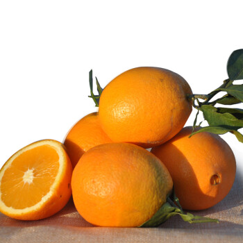 橙 高山橙子 应季时令水果 非云冠褚橙冰糖橙赣