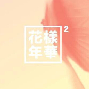 防弹少年团第四张mini专辑 花样年华pt 2 原装peach版 京东jd Com