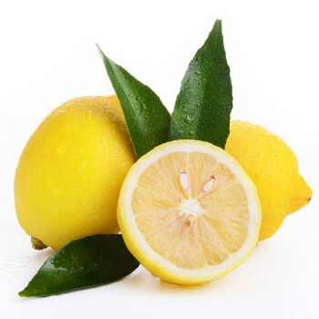 四川安岳黄柠檬16颗 一级大果 单果约100g-120g 莫吉托 新鲜水果