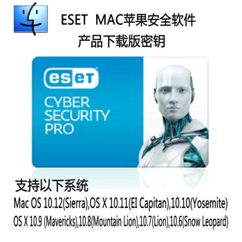 eset cyber security pro 6.4 200 key