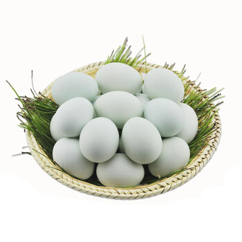 新鲜鸭蛋农家青皮生鸭蛋微山特产湖里咸蛋黄土海鸭蛋麻鸭蛋dan40枚装