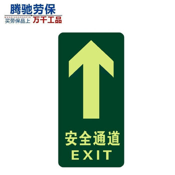 出口指示牌安全通道疏散应急逃生指示牌荧光墙贴标识牌 a05 直行安全