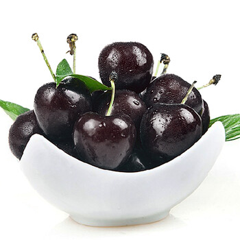 果之彩 黑珍珠车厘子 烟台大樱桃预售 新鲜水果现摘现发 包邮顺丰