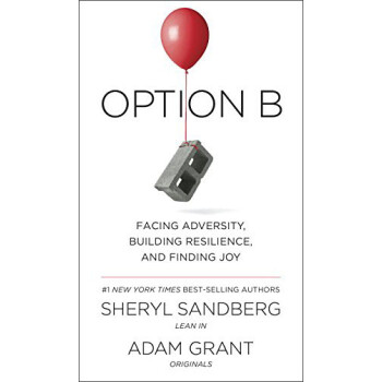 Option B: Facing Adversity Building Resilience and Finding Joy Ӣԭ [װ]