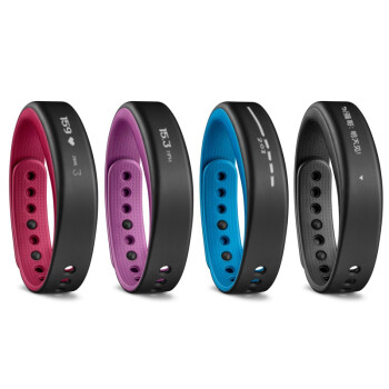 佳明（GARMIN）vivosmart  紫色 智能运动手环腕带 50米防水 计步器蓝牙 睡眠监测 震动提醒