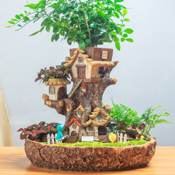 苔藓微景观盆景diy创意盆栽摆件微生态瓶景观办公桌微观植物桌面微景观