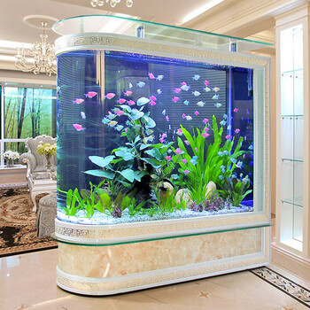 2米客厅玻璃生态家用中大型1.