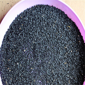 逍遥 花葱种子 庭院阳台盆栽地栽花草种子 100克 一斤 100克