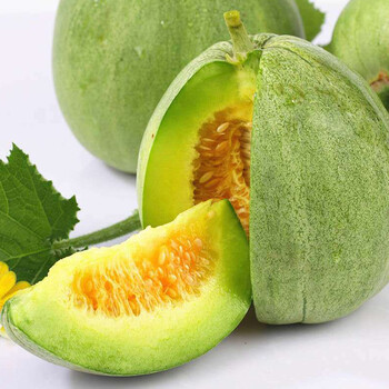 恬女神绿茵山东绿宝石甜瓜绿宝甜瓜新鲜绿宝瓜2500g顺丰速运