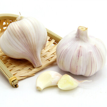 5kg 富硒农家新蒜子新鲜蔬菜非糖醋蒜腊八蒜 大个头5.