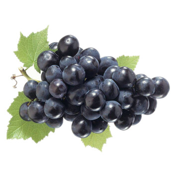 顺丰空运 云南无籽夏黑葡萄水果 新鲜黑加仑黑提子 4kg 发货盒装非成