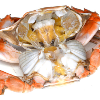 莱州湾 烟台鲜活花盖蟹螃蟹铁脚蟹 石蟹 500g 6-7只_现价-1元