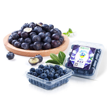 欢乐果园 蓝宝实有机蓝莓 4盒装 125g/盒 新鲜水果