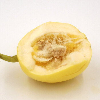 天序 山东甜王蜜罐甜瓜 2.5kg 新鲜水果