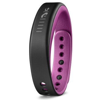 佳明（GARMIN）vivosmart  紫色 智能运动手环腕带 50米防水 计步器蓝牙 睡眠监测 震动提醒