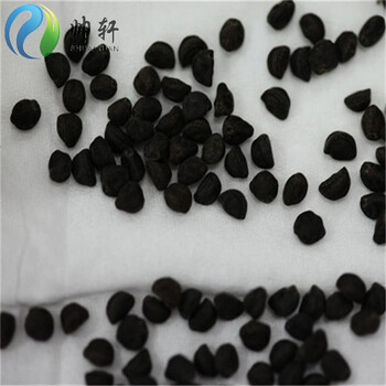 帅轩 牵牛花种子 庭院阳台盆栽地栽花草种子 新采种子 新采种子 半斤