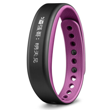 佳明（GARMIN）vivosmart  紫色 智能运动手环腕带 50米防水 计步器蓝牙 睡眠监测 震动提醒