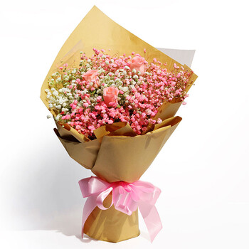 玫红色 粉色满天星a【图片 价格 品牌