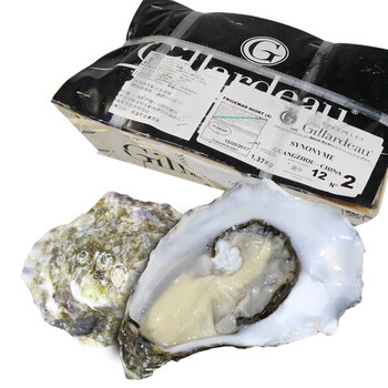 宝程 法国鲜活吉拉多生蚝gillardeau 48只n1 原装木箱