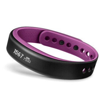 佳明（GARMIN）vivosmart  紫色 智能运动手环腕带 50米防水 计步器蓝牙 睡眠监测 震动提醒