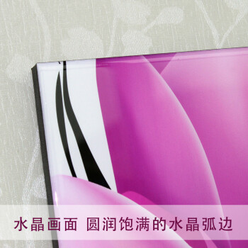 
                                        装饰画客厅现代简约 水晶无框装饰画 现代沙发背景墙装饰画 简约墙画壁画装饰画 W07高雅郁金香 60*60 三件套                