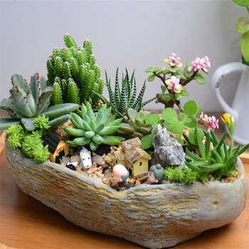 多肉植物微景观组合盆栽diy桌面绿植花盆
