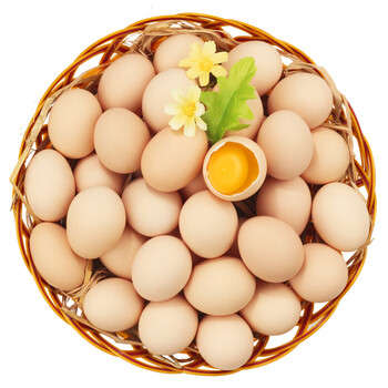 鹏昌 自家农场鲜鸡蛋 粉壳蛋 20枚